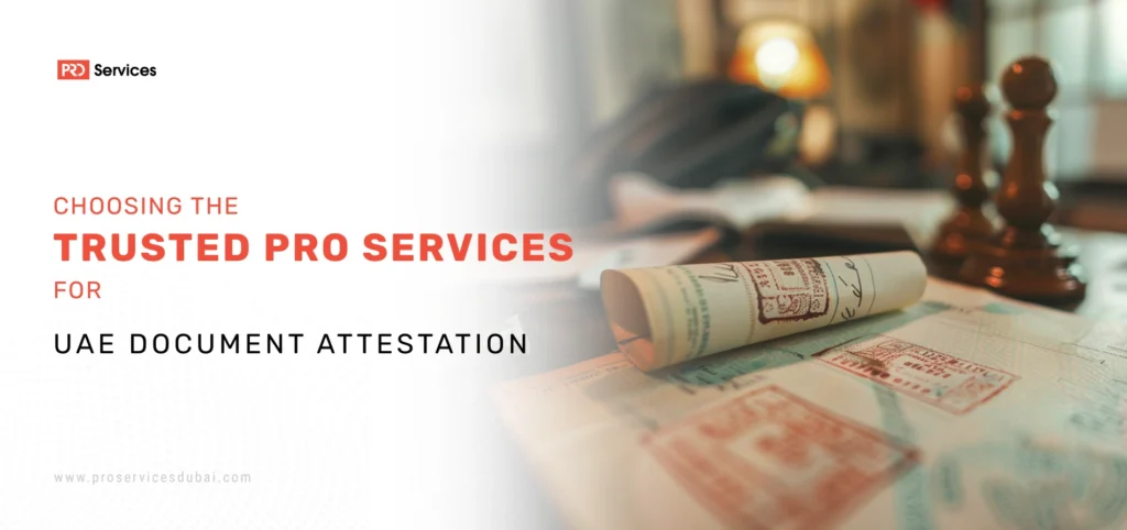 pro-services-company-uae