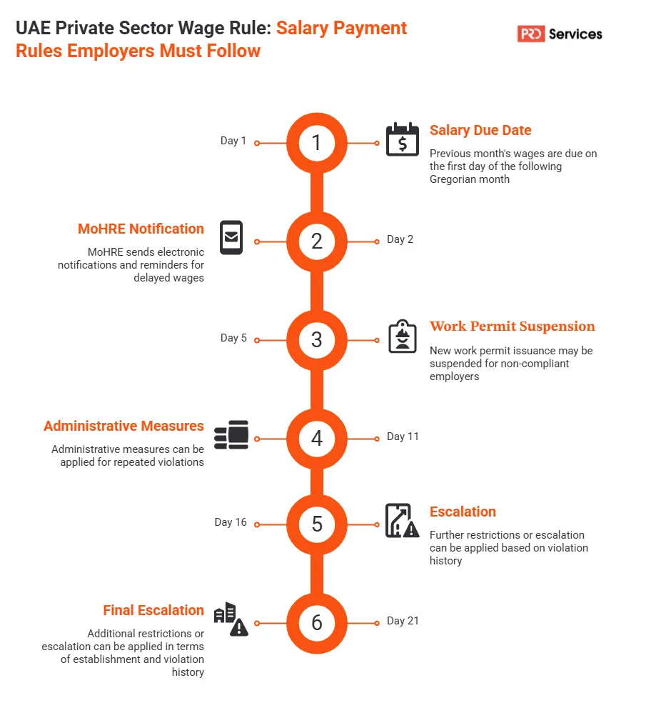 Infographic showing compliance timeline and escalation stages for the UAE private sector wage rule regarding employer salary payment deadlines.